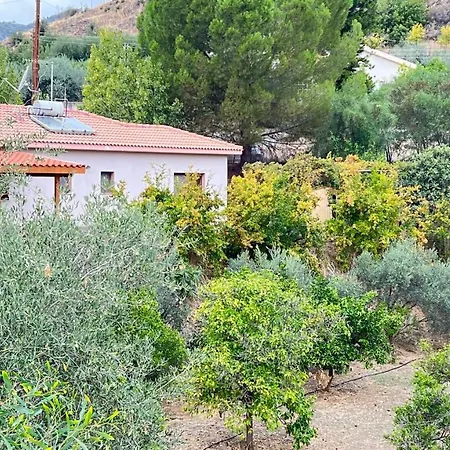 Evie's House Arakapas