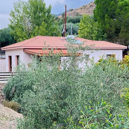 Evie's House