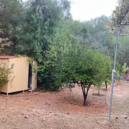 Evie's House