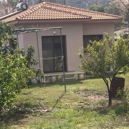 Evie's House * Arakapas