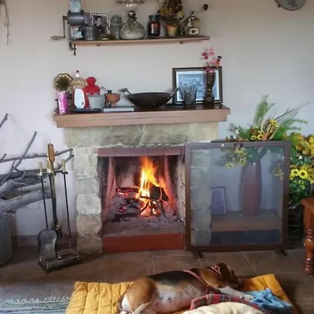 Evie's House *