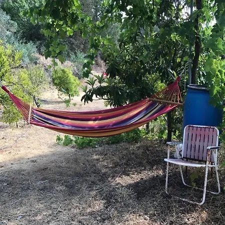 Case de vacanță Evie's House